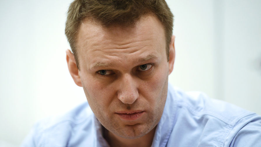 Блогер Навальный приехал из прибалтийского турне с новыми вводными RIAN_03041746.HR.ru-pic905-895x505-83475