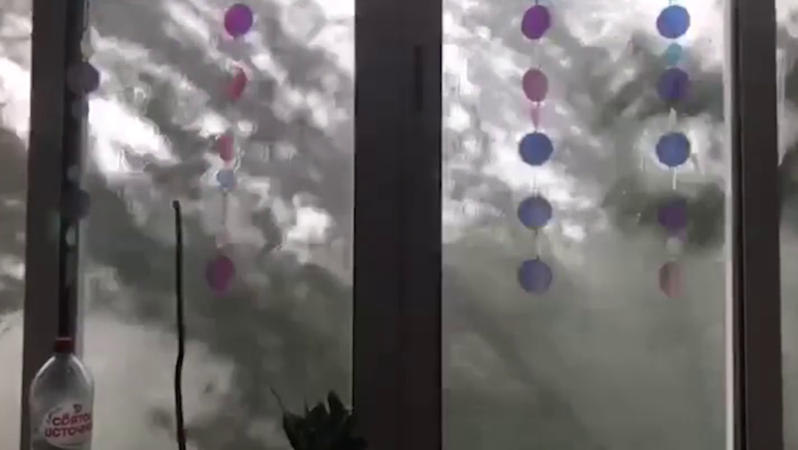 Москвичка сняла на видео влетевшее во время урагана на балкон дерево