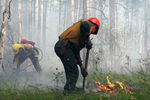 Лесные пожары в Красноярском крае, 1 августа 2019 года