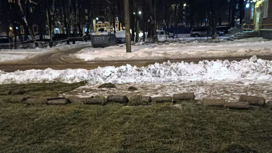 В Москве заметили уложенный на снег газон