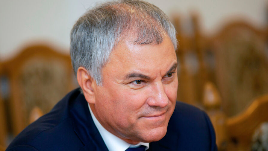 Володин заявил, что стандарты соцзащиты РФ надо распространить на новые регионы с 1 марта