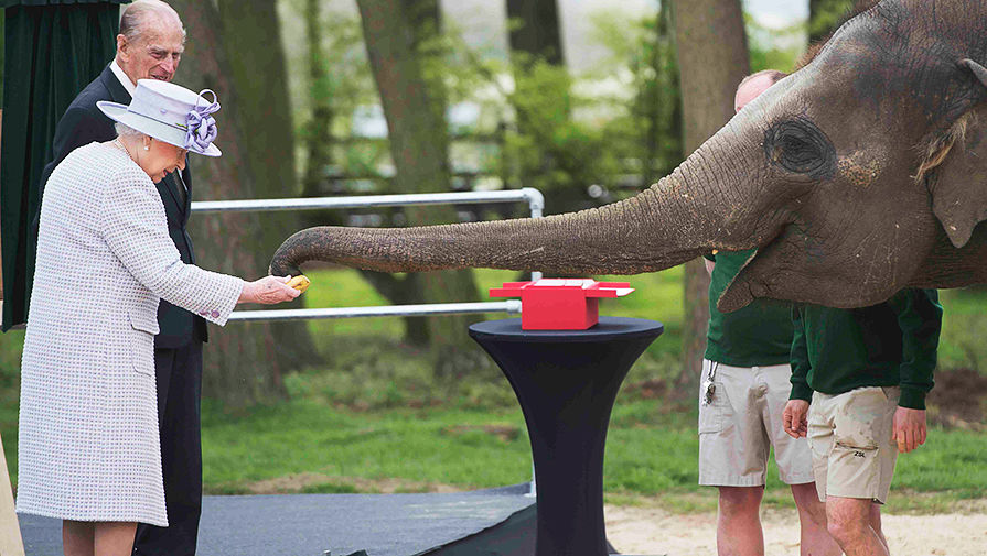 Королева Великобритании Елизавета II с&nbsp;герцогом Эдинбургским Филиппом кормят слоненка Елизавету в&nbsp;Уипснейдском зоопарке