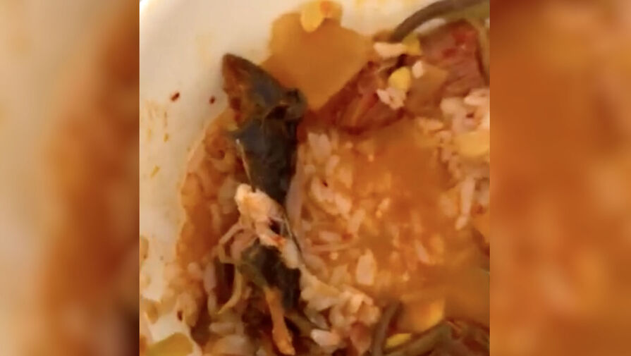 Семья заказала еду из корейского ресторана и получила суп с крысой