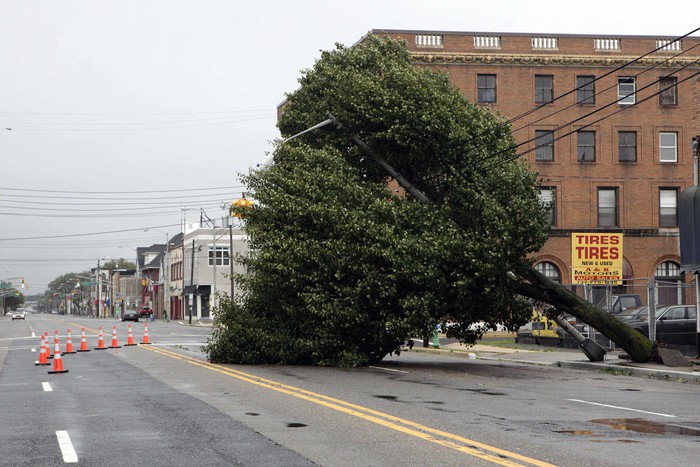 Сильный ветер валил деревья. В&nbsp;Нью-Йорке каждый рухнувший ствол был заботливо огорожен. 