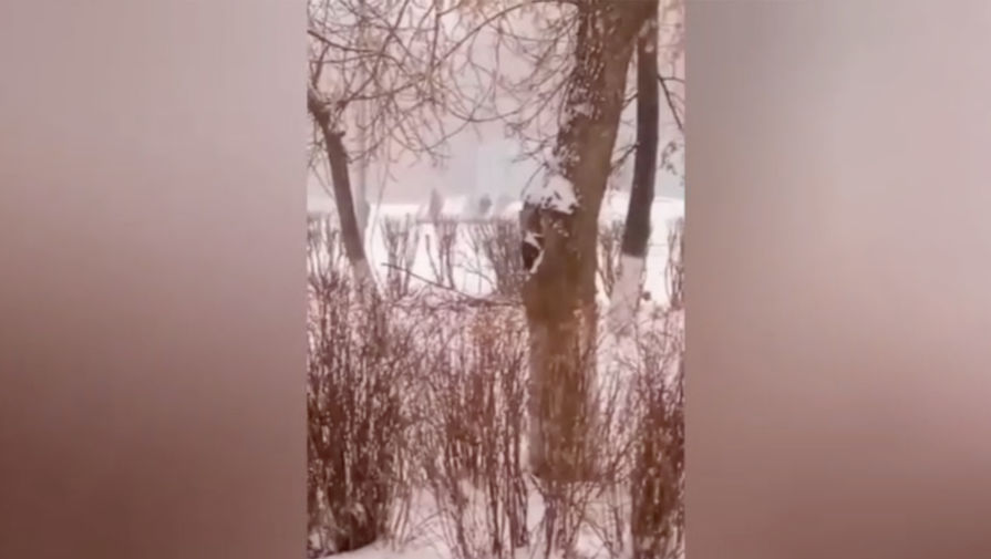На Урале дети-скейтеры катались с мемориала погибшим в ВОВ