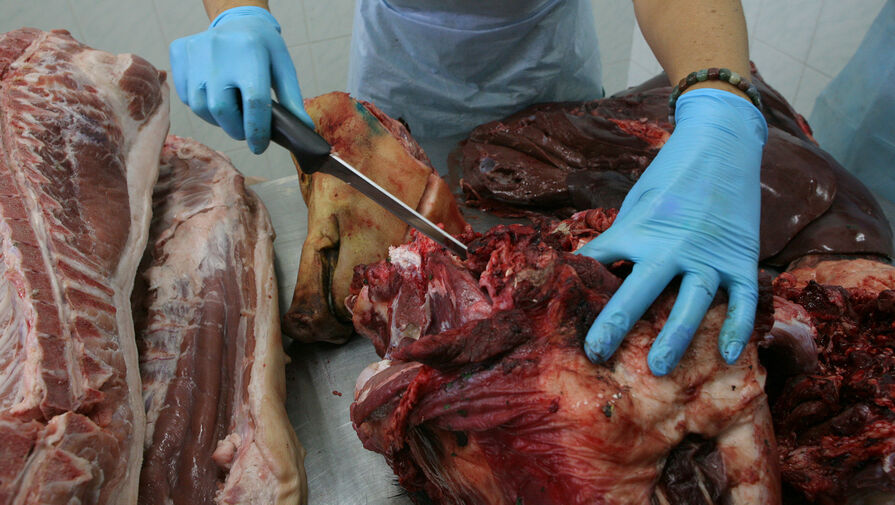 Полтонны зараженного мяса увезли цыгане. Что известно о сибирской язве в Чувашии