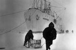 Доставка груза от базы до причала в Антарктиде, 1962 год