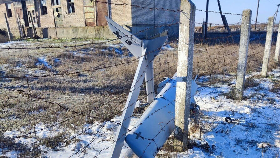 Власти Крыма прокомментировали интернет-мемы на сбитых в Джанкое беспилотниках