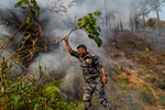 Тушение лесного пожара в национальном парке Шивапури на окраине Лалитпура, Непал, 30 апреля 2024 года