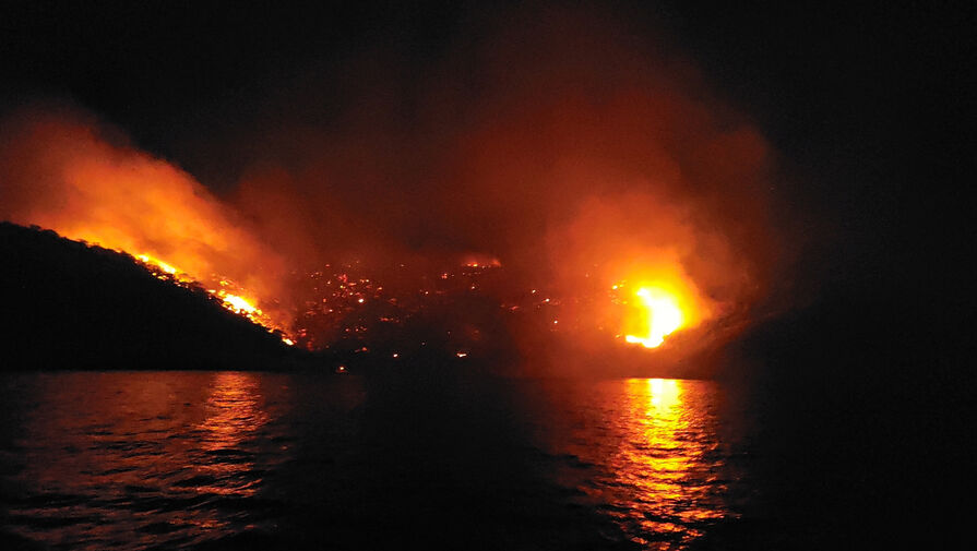 В Греции предъявили обвинения восьмерым казахстанцам в поджоге леса на острове