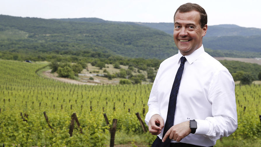 Российский премьер Дмитрий Медведев в фермерском кооперативе около Ялты в Крыму, 2015 год