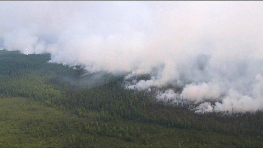 Лесные пожары в&nbsp;Красноярском крае, 1 августа 2019 года