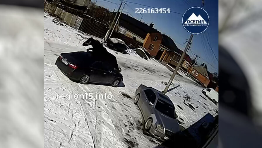 Конь запрыгнул на крышу Toyota Camry в Северной Осетии