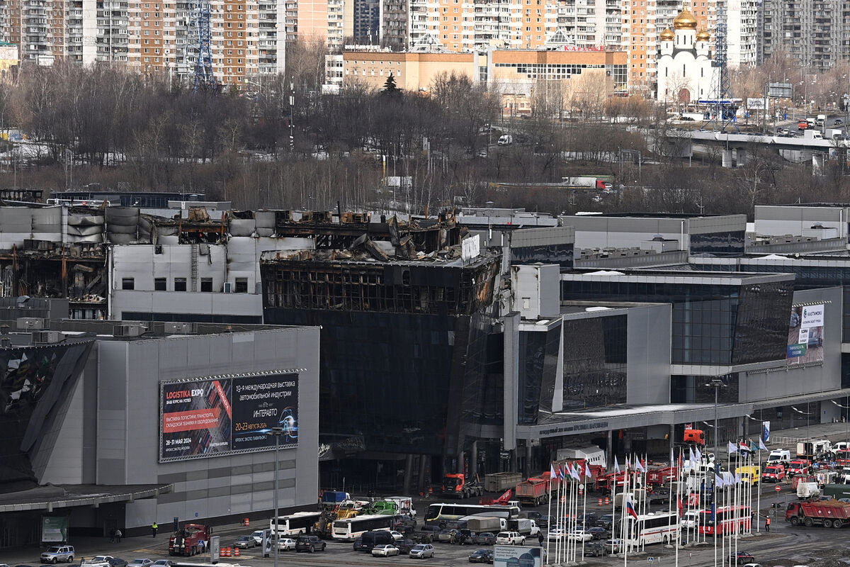 Женщина выдала себя за кинолога, сняла видео завалов в «Крокусе» и открыла  сбор - Газета.Ru | Новости