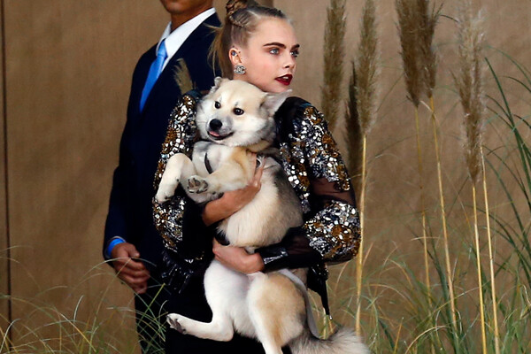 Кара Делевинь со своей собакой перед&nbsp;показом коллекции Chanel в&nbsp;Париже, 2016 