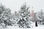 Последствия снегопада в Москве, 31 января 2017 года