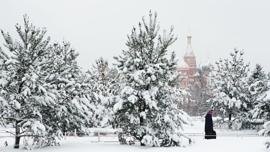 Последствия снегопада в Москве, 31 января 2017 года