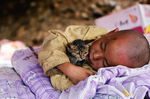 Выживший мальчик со своим котенком спит в убежище после землетрясения в городе Лонгтушан провинции Юньнань. 5 августа 2014 года
