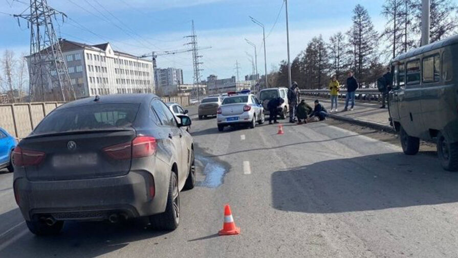 В Красноярске водитель BMW сбил бегающую по городу косулю