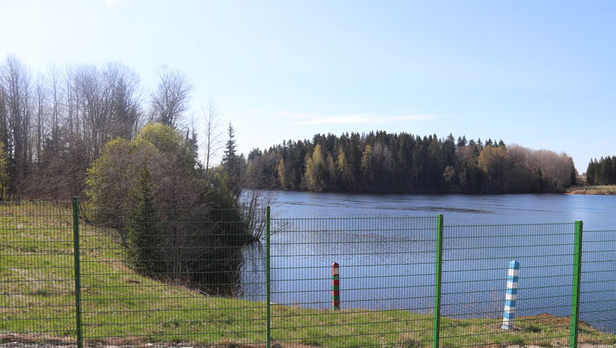 Финляндия вырубит лес для установки забора на границе с Россией 