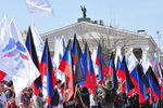 Митинг, приуроченный к четвертой годовщине провозглашения ДНР в Донецке