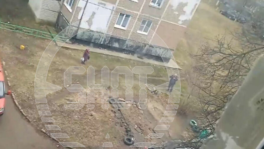 Shot: дрон упал на дерево в Тульской области