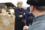 Лидер «Национального фронта» Марин Ле Пен во время посещения фермы в коммуне Камб, 4 марта 2017 года