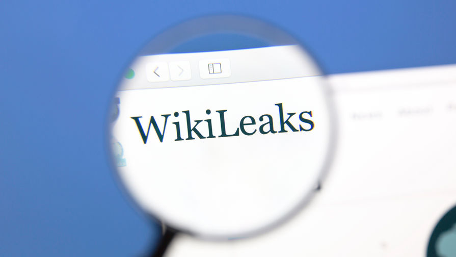 Экс-программиста ЦРУ осудили за сотрудничество с WikiLeaks