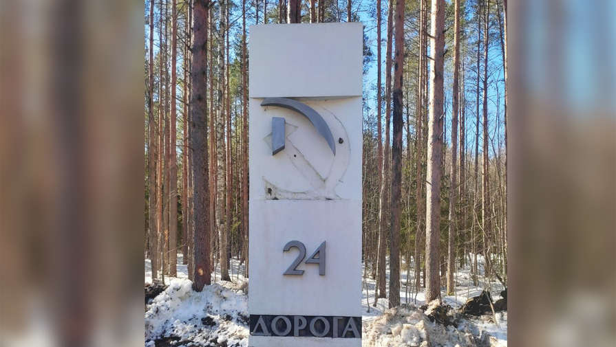 Неизвестные оторвали серп и молот от столба на Дороге жизни в Ленобласти