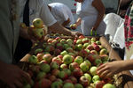 Считается, что яблоки нового урожая нельзя есть до Яблочного Спаса.