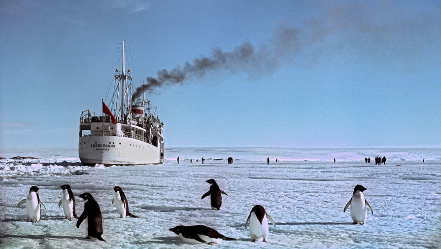 Теплоход &laquo;Кооперация&raquo; у&nbsp;берегов Антарктиды, 1964 год