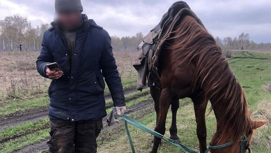 Работник фермы отправился искать убежавших лошадей и пропал в Челябинской области