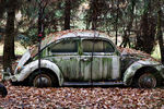 Volkswagen Beetle с номерным знаком бывшей Восточной Германии среди деревьев недалеко от Фульдаталя, центральная Германия. В 2009 году, когда было сделано это фото, владелец автомобиля Отто Вейман рассказал, что купил эту машину в 1989 году у двух восточных немцев, которые только что пересекли границу между Восточной и Западной Германией, когда рухнула стена. Вейман припарковал «Жук» в своем саду и посадил вокруг деревья. 