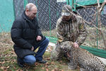 Владимир Путин в Центре разведения и реабилитации переднеазиатского леопарда, расположенном в Сочинском национальном парке