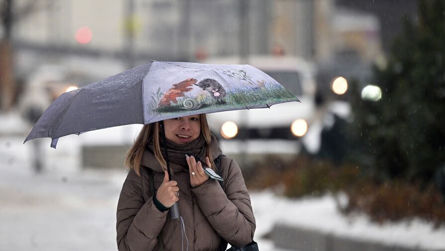 Синоптики прогнозируют в новогоднюю ночь в Москве небольшой снег и до 2C