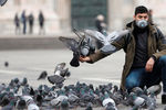 Турист кормит голубей в центре Милана, 25 февраля 2020 года