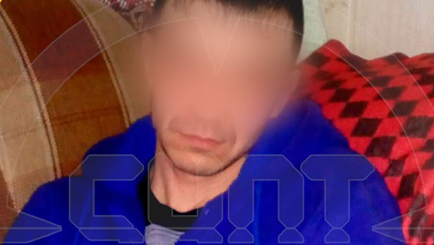 Shot: в Лесозаводске сожитель матери месяц возил 5-летнюю девочку в гостиницу и насиловал