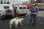 Спасатели МЧС с поисковыми собаками на месте аварии на шахте «Распадская» в городе Междуреченске Кемеровской области, 9 мая 2010 года