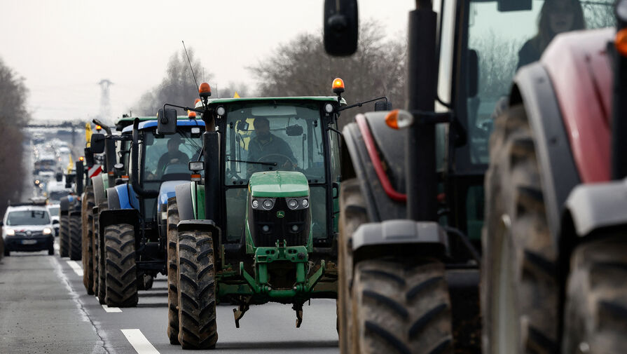 Политолог оценил кризис с поставками украинской сельхозпродукции в ЕС
