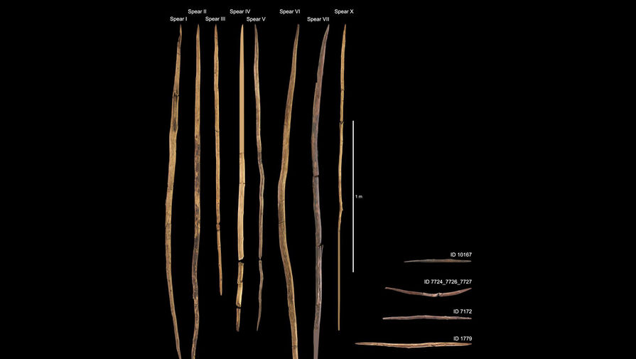 Ученые выяснили, что люди делали сложное оружие из дерева еще 300 тыс. лет назад
