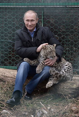 Владимир Путин в&nbsp;Центре разведения и реабилитации переднеазиатского леопарда, расположенном в&nbsp;Сочинском национальном парке