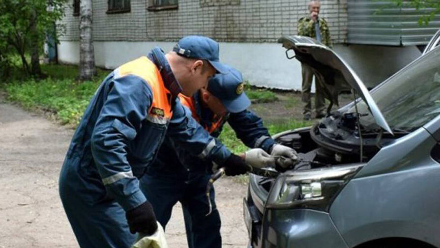В Биробиджане спасатели достали из автомобиля спрятавшуюся под капотом змею