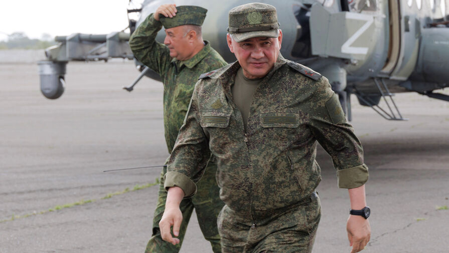 Шойгу заявил, что Россия будет продолжать сотрудничать с Турцией по Сирии