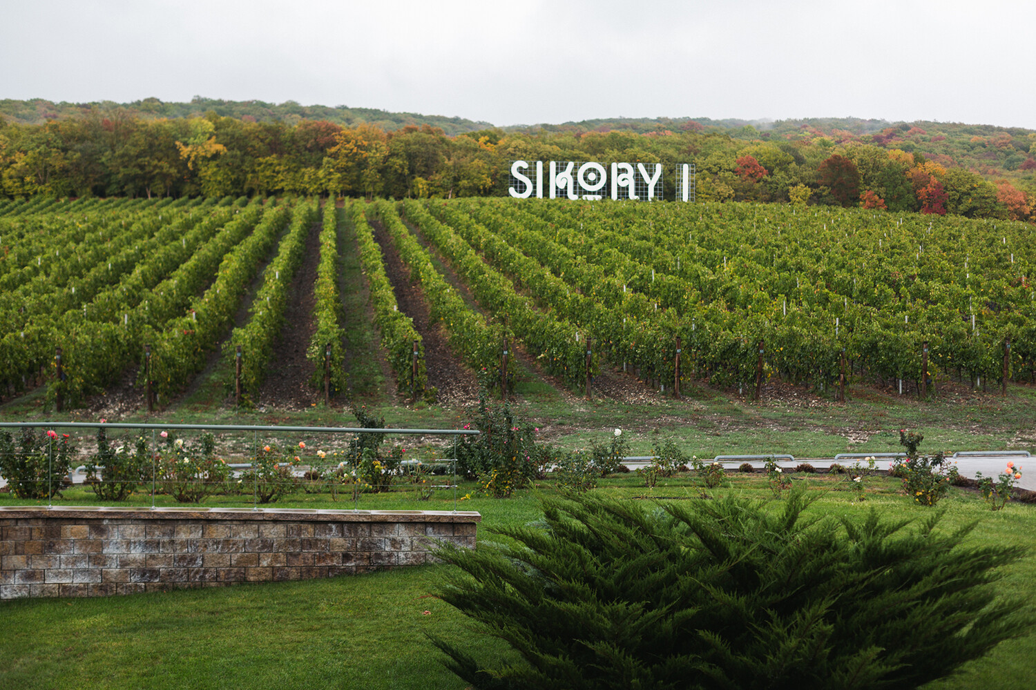 Французский замок и дегустация под звездами: 5 виноделен, которые стоит посетить в Краснодарском крае Французский замок и дегустация под звездами: 5 виноделен, которые стоит посетить в Краснодарском крае