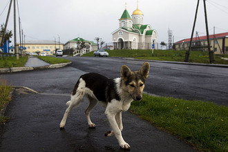 Южно-Курильск на острове Кунашир, 2015 год