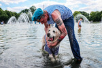 Десантник и собака купаются в фонтане во время гуляний в день ВДВ в Центральном парке культуры и отдыха имени М.Горькогo, Москва, 2 августа 2022 года
