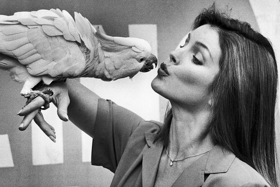 Актриса Присцилла Пресли, 1981&nbsp;год
