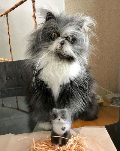 Атчум (438 тыс. в instagram)