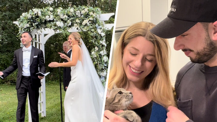 Супруги приютили бездомную кошку, которая попыталась сорвать им свадьбу