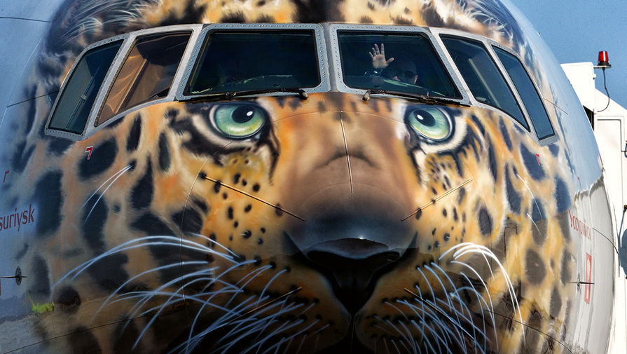 Самолет авиакомпании &laquo;Россия&raquo; с&nbsp;изображением на&nbsp;носовой части дальневосточного леопарда в&nbsp;аэропорту Владивостока